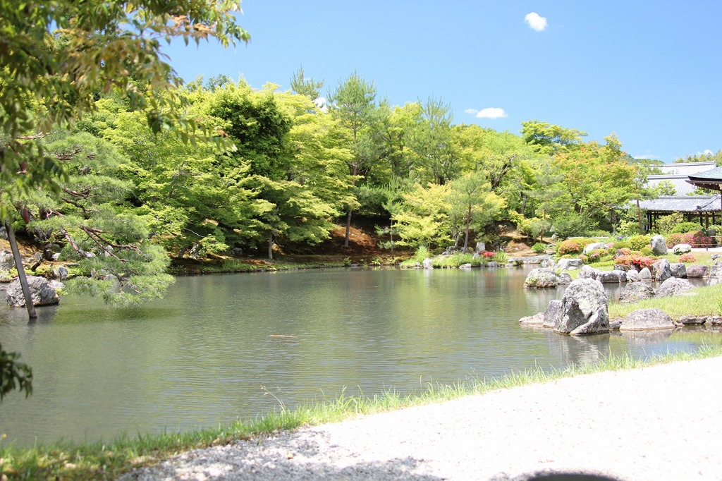 天竜寺庭園1IMG_0313