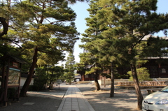 妙心寺12IMG_0768