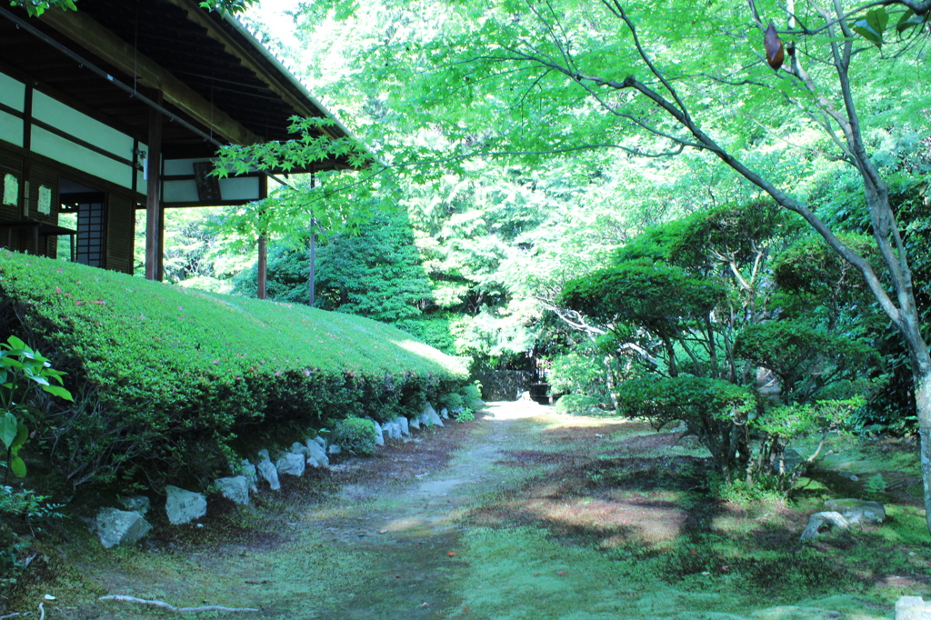 妙心寺　桂春院庭園11IMG_0866