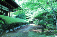妙心寺　桂春院庭園11IMG_0866