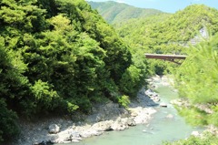 トロッコ列車の車窓から5IMG_0396