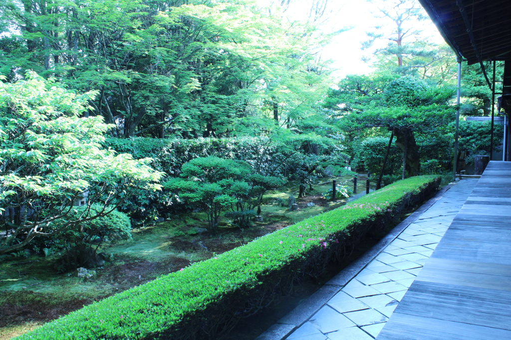 妙心寺　桂春院庭園10IMG_0863