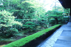 妙心寺　桂春院庭園10IMG_0863