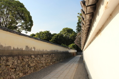 妙心寺23IMG_0841