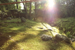 妙心寺　桂春院庭園20IMG_0889