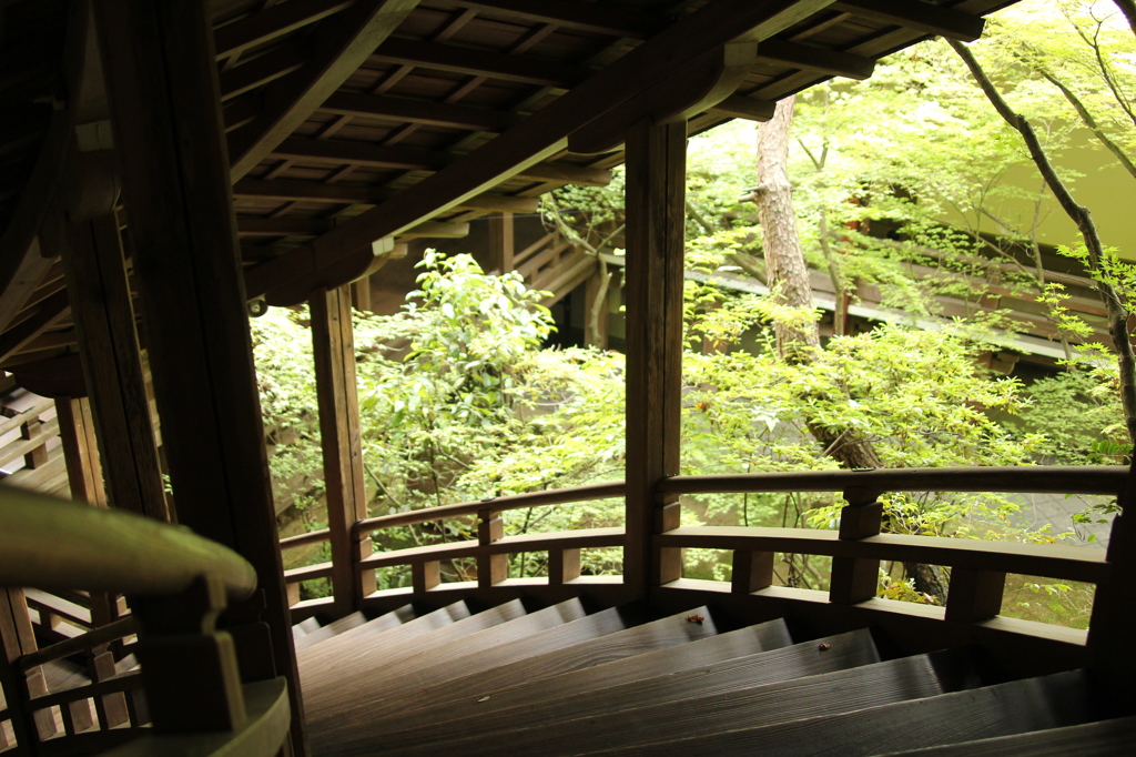 永観堂禅林寺　25　IMG_1094