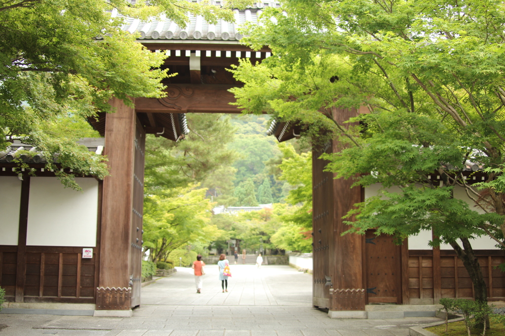 永観堂禅林寺　1　IMG_1031