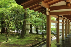 龍安寺庭園8IMG_0713