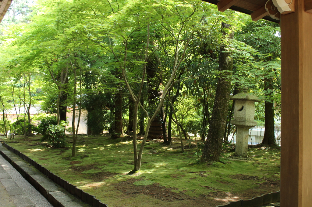 龍安寺庭園4IMG_0705