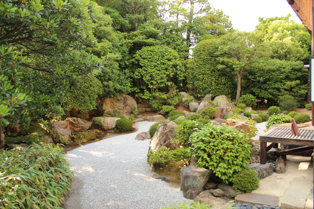 妙心寺　退蔵院庭園4　IMG_0779