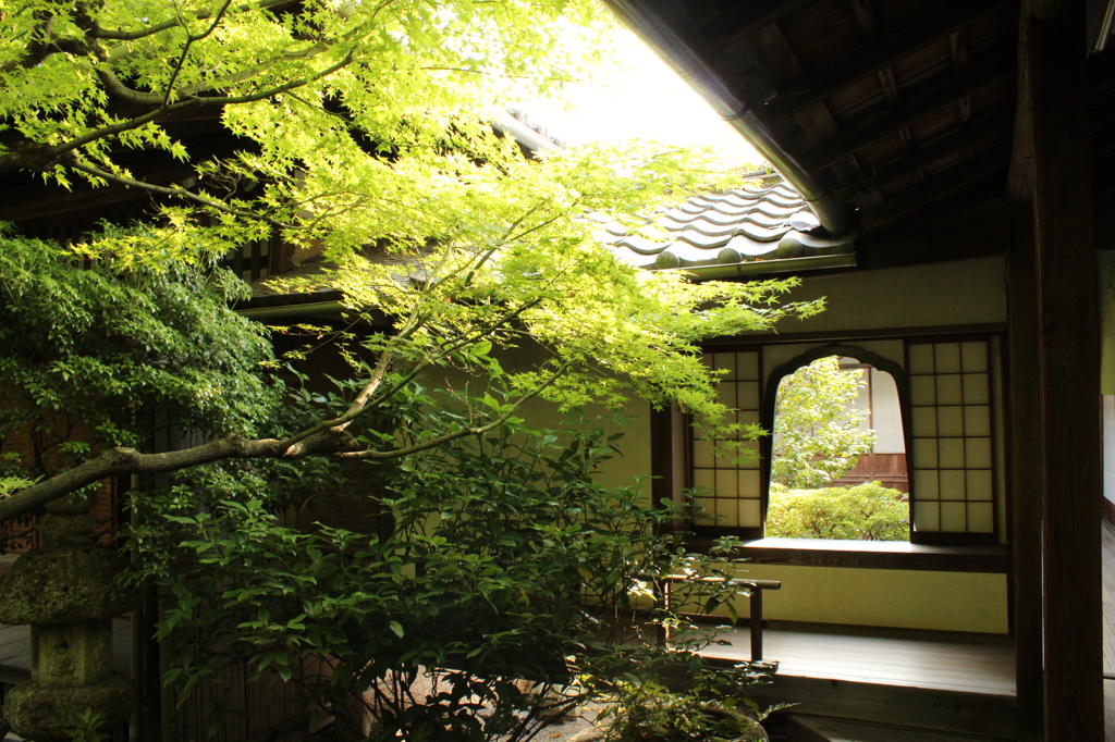 妙心寺　桂春院庭園6IMG_0857