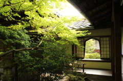 妙心寺　桂春院庭園6IMG_0857