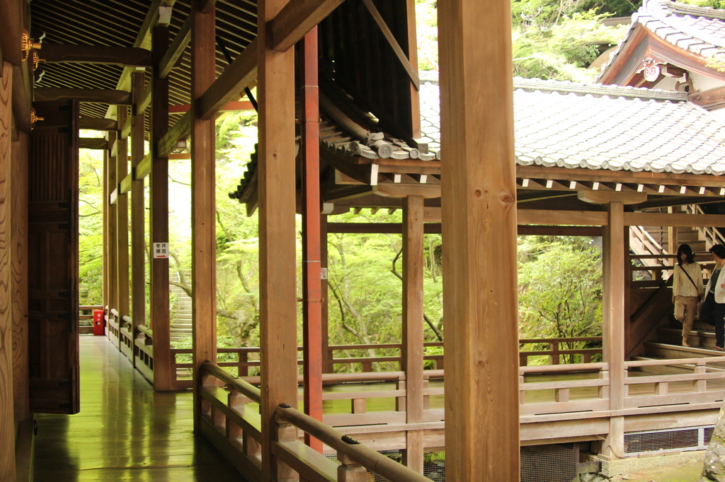 永観堂禅林寺　14　IMG_1074
