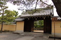 妙心寺6IMG_0759