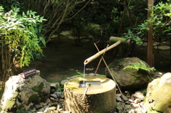 龍安寺庭園9IMG_0715