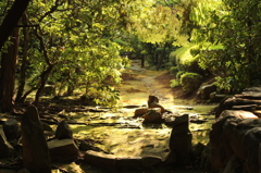 妙心寺　桂春院庭園17IMG_0881