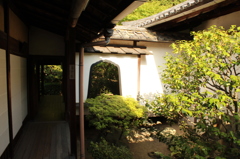 妙心寺　桂春院庭園3IMG_0853
