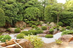 妙心寺　退蔵院庭園6　IMG_0781
