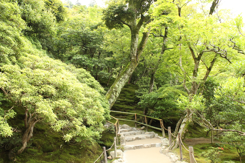 銀閣寺2IMG_0926