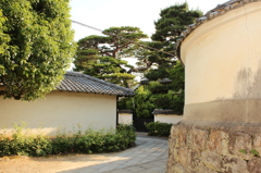 妙心寺25IMG_0843