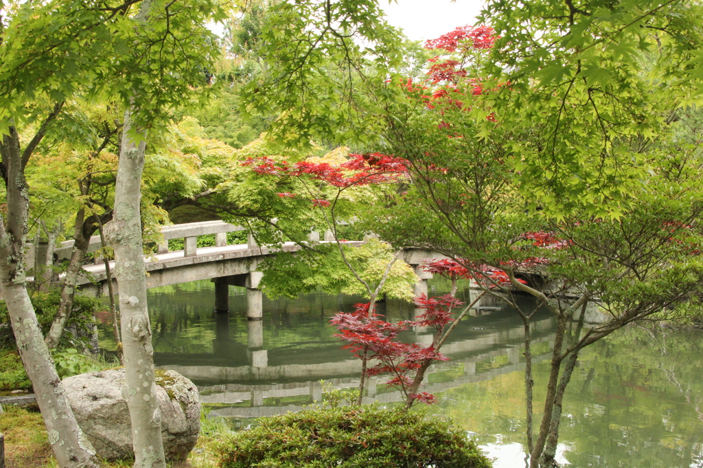 永観堂禅林寺　30　IMG_1112