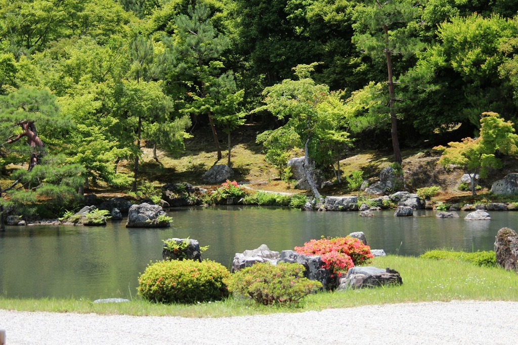 天竜寺庭園7IMG_0319