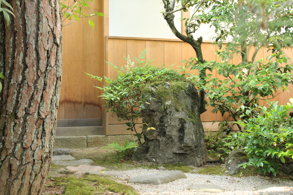 妙心寺　桂春院庭園27IMG_0898