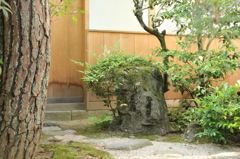 妙心寺　桂春院庭園27IMG_0898