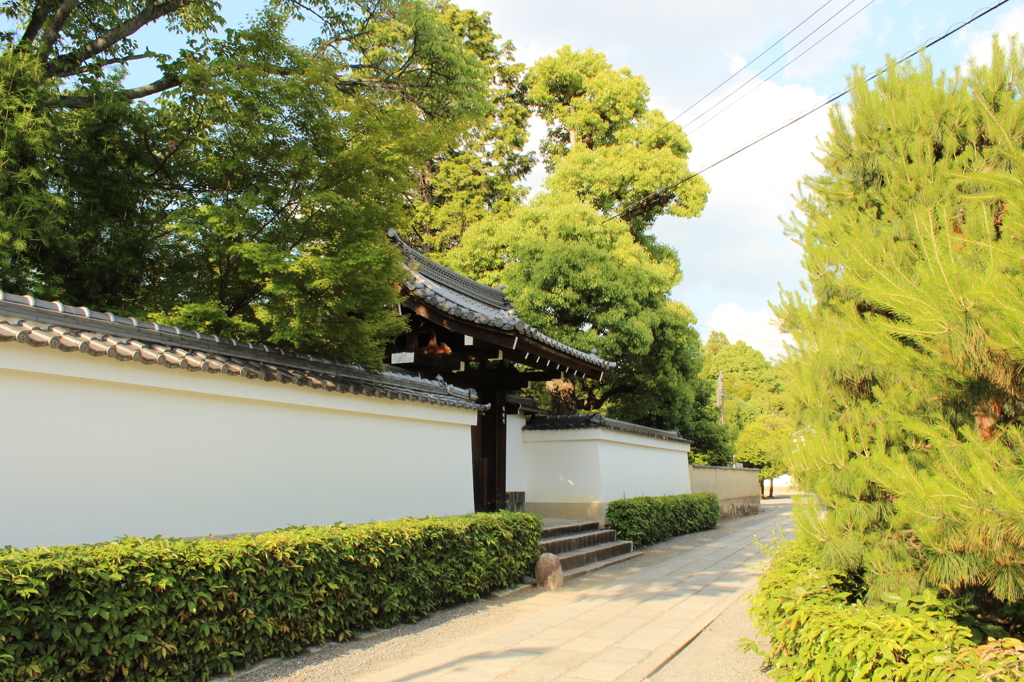 妙心寺28IMG_0848
