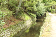 哲学の道　3　IMG_1020