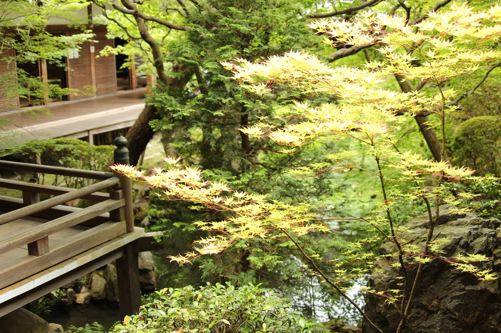 永観堂禅林寺　7　IMG_1053
