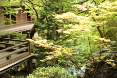 永観堂禅林寺　7　IMG_1053