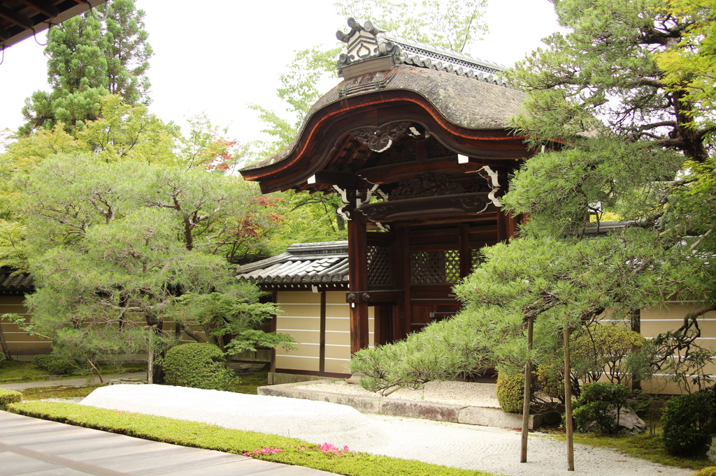 永観堂禅林寺　8　IMG_1058