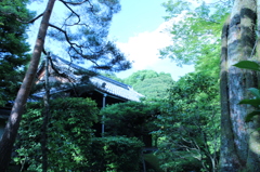 妙心寺　桂春院庭園13IMG_0868