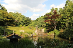 妙心寺　退蔵院庭園21IMG_0803