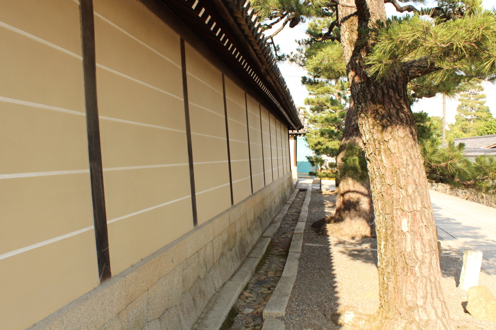 妙心寺9IMG_0826
