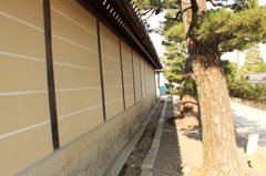 妙心寺9IMG_0826