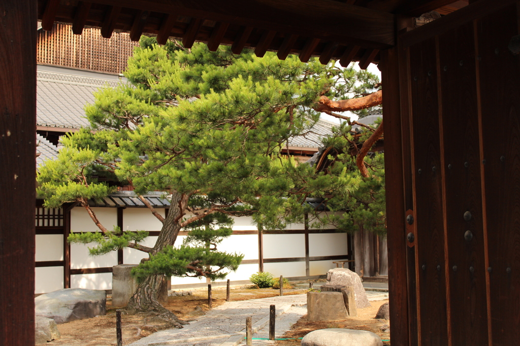 妙心寺1IMG_0750