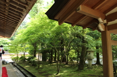 龍安寺庭園5IMG_0706
