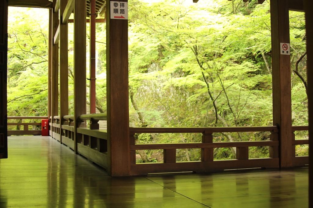 永観堂禅林寺　15　IMG_1077