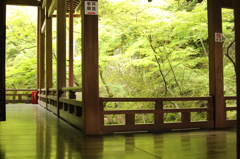 永観堂禅林寺　15　IMG_1077