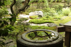 永観堂禅林寺　28　IMG_1099