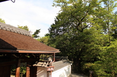 妙心寺　退蔵院庭園7　IMG_0783