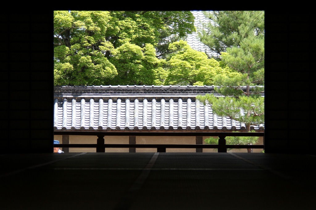 天竜寺庭園4IMG_0317