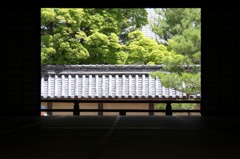 天竜寺庭園4IMG_0317