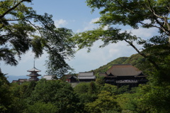 DSC00255
