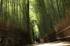 竹林の道2IMG_0353