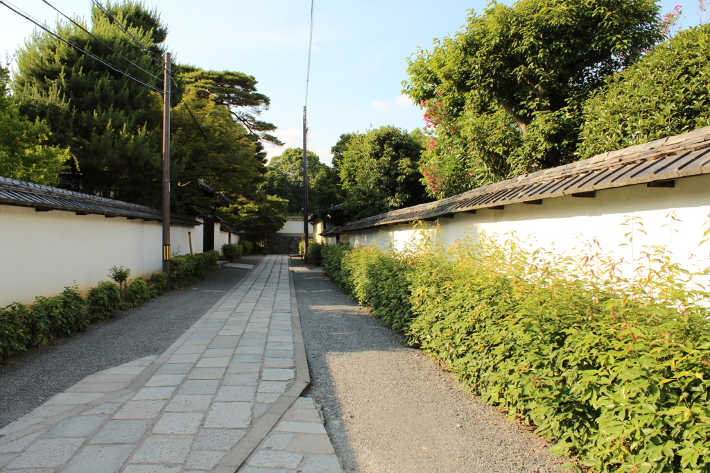 妙心寺22IMG_0840