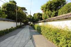 妙心寺22IMG_0840