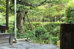 妙心寺　桂春院庭園22IMG_0891